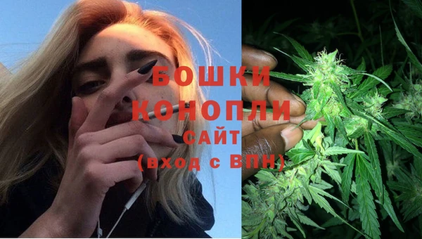 сатива Кукмор