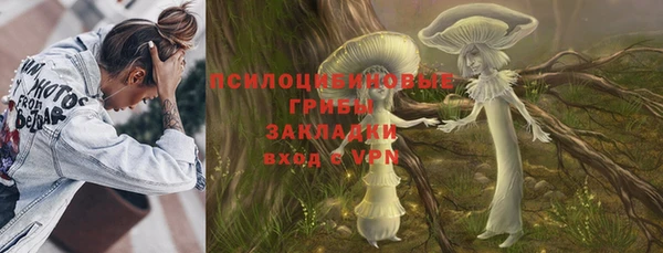 ПСИЛОЦИБИНОВЫЕ ГРИБЫ Ладушкин