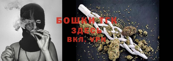 ПСИЛОЦИБИНОВЫЕ ГРИБЫ Ладушкин